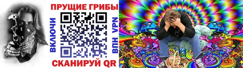 хочу наркоту  Мирный  Галлюциногенные грибы Psilocybine cubensis 
