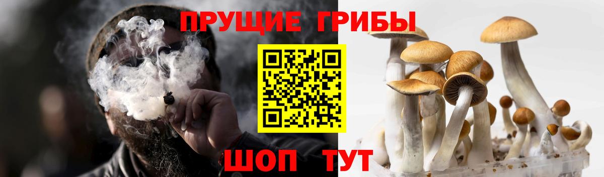 Галлюциногенные грибы GOLDEN TEACHER  Вход с VPN  Мирный 